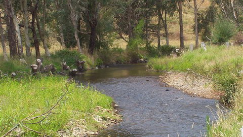 Murphy's Cabin - Tourism Canberra 0