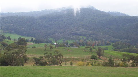 Murphy's Cabin - Tourism Canberra 1