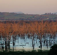 Salisbury - Tourism Canberra