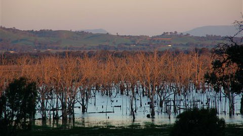 Salisbury - Tourism Canberra 0