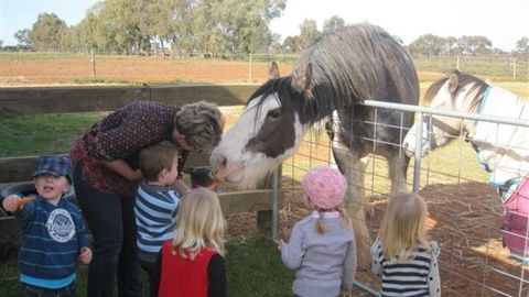 Cabarita Lodge - Tourism Canberra 4