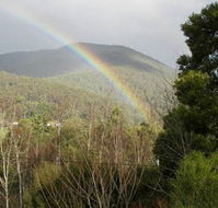 Wattletree Cottage - Tourism Canberra