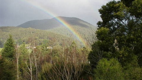Wattletree Cottage - Tourism Canberra 0
