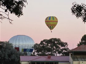 Barossa Valley Tourist Park - Tourism Canberra 0