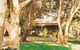 Cape Jervis Cottages - thumb 2