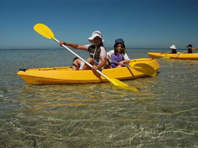 Ceduna Shelly Beach Caravan Park And Beachfront Villas - Tourism Canberra 2