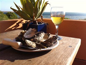 Ceduna Shelly Beach Caravan Park And Beachfront Villas - Tourism Canberra 4