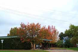 Allambie Motel Pty Ltd - Tourism Canberra 0
