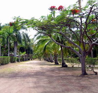 Alva Beach Tourist Park - Tourism Canberra