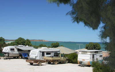 Blue Dolphin Caravan Park & Holiday Village - Tourism Canberra 0