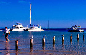 Blue Dolphin Caravan Park & Holiday Village - Tourism Canberra 4