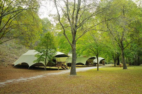 Buchan Caves Reserve - Tourism Canberra 0