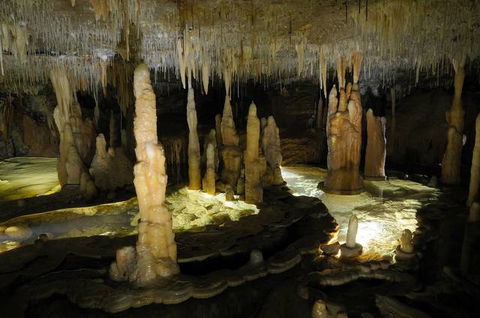 Buchan Caves Reserve - Tourism Canberra 3
