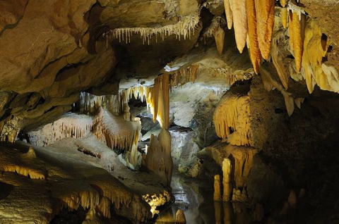 Buchan Caves Reserve - Tourism Canberra 4