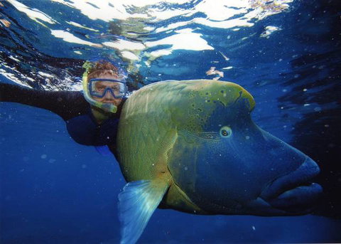 Cairns Holiday Lodge - Tourism Canberra 2