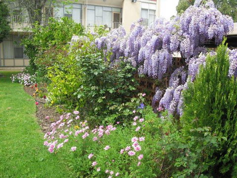 Capri Lodge Apartments - Tourism Canberra 1