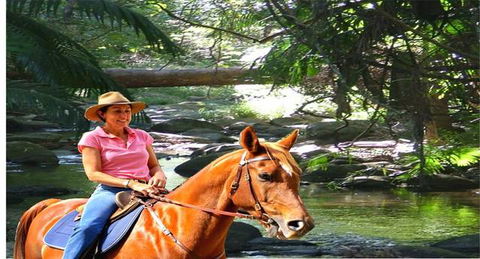 Cedar Creek Lodges At Thunderbird Park™ - Tourism Canberra 7