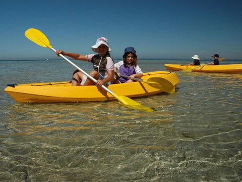 Ceduna Shelly Beach Caravan Park - Tourism Canberra 4