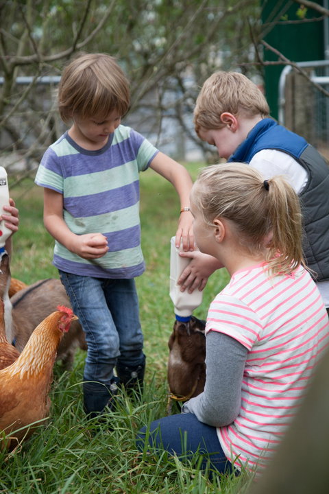 Lalee Farm - Tourism Canberra 5
