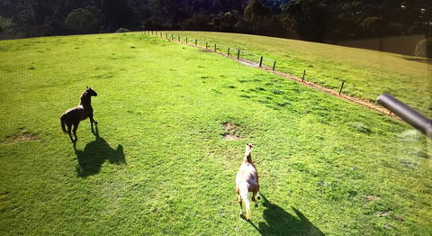 Farm Accommodation - Tourism Canberra 8