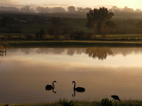 Mansfield Holiday Park - Tourism Canberra 2