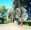 Cudal Caravan Park - Tourism Canberra