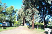 Cudal Caravan Park - Tourism Canberra 0