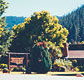 High Country Motor Inn - Tourism Canberra