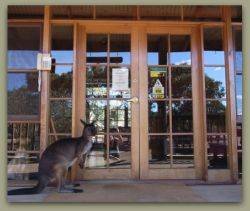 Kangaroo Island Wilderness Retreat - Tourism Canberra 1