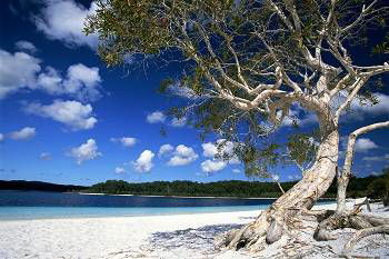 Mercure Kingfisher Bay Resort - Tourism Canberra 9