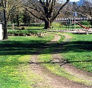 Mongans Bridge Camping Park - Tourism Canberra