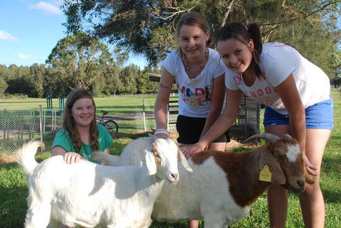 Mountain View Resort - Tourism Canberra 1