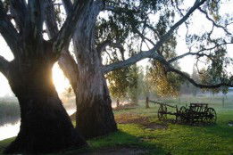 Mudgee's Getaway Cottages - Tourism Canberra 3