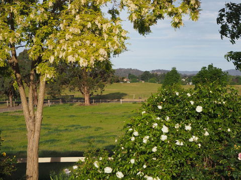 Myamba House Kyneton - Tourism Canberra 5
