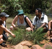 Nitmiluk Tours  Accommodation - Tourism Canberra