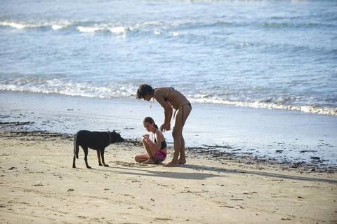 North Coast Holiday Parks Scotts Head - Tourism Canberra 2