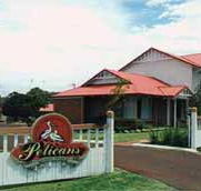 Pelicans Albany Middleton Beach - Tourism Canberra