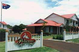 Pelicans Albany Middleton Beach - Tourism Canberra 0