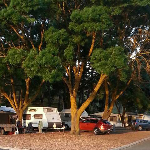 Queen Victoria Jubilee Park - Tourism Canberra 0