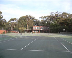 Koala Park - Tourism Canberra 1