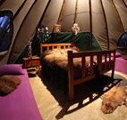 Aranyani Bison Adventure Tourist Park - Tourism Canberra