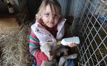 Barcoos Farmstays Bathurst - Tourism Canberra 0