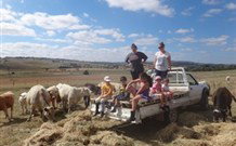 Barcoos Farmstays Bathurst - Tourism Canberra 1