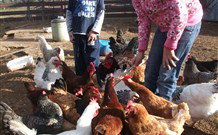 Barcoos Farmstays Bathurst - Tourism Canberra 5