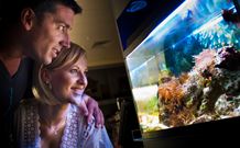 BIG4 Northstar Holiday Resort And Caravan Park - Tourism Canberra 4