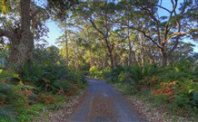BIG4 South Durras Holiday Park - Tourism Canberra 4