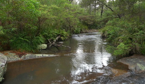 Chaelundi Campground - Tourism Canberra 1