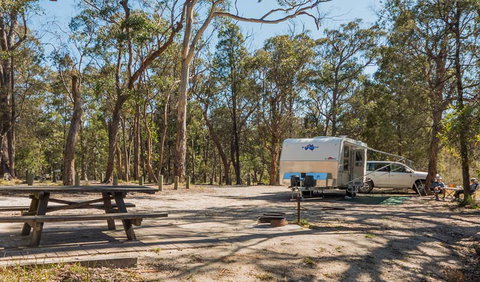 Cypress-pine Campground - Tourism Canberra 1