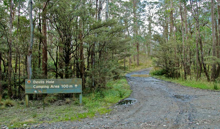 Barrington Tops NSW Tourism Canberra