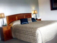 Saltbush Motor Inn - Tourism Canberra 4